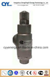 Low Temperature Safety Valve