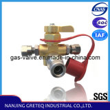 QF-T3H1 CNG Fast Filling Valve for CNG Car with 1/4 Hand Wheel
