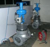 Heavy Duty Cage Guided Control Valves