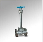 Forged Steel Cryogenic Gate Valve (DTV-Z005)