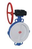 Worm Gear PTFE Lined Butterfly Valve for Oil