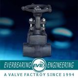 Forging Globe Valve (GBV-028-G)