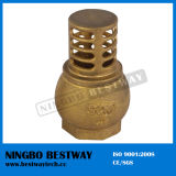 Water Pump Foot Valve for Sale (BW-C08)