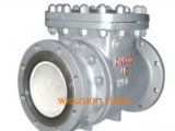 Swing Check Valve with Ceramic Liner