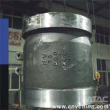 Stainless Steel Flanged Nozzle Check Valve