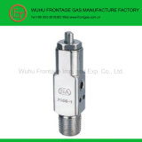 Cga Series Gas Cylinder Valve (CGA870-2)