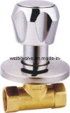 Brass Globe Valve (WB-5017)