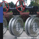 Flanged RF/Rtj Double Offset Butterfly Valve with Gear