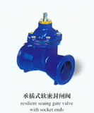 Resilient Sealing Gate Valve With Socket Ends