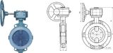 Teflon-Lining Daiphraqm Butterfly Valve (211)