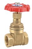 Brass Gate Valve (WSD-7008)