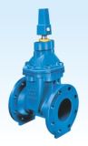 Cast Iron/Ductile Iron Gate Valve with Square Head