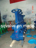 Bolted Bonnet for Vacuum in Bw End Globe Valve