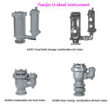Dual Body Combination Air Valve; Air Release Valve for Waste Water