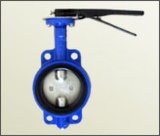 Butterfly Valve with Double Stems No Pins