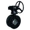 High Perforance Butterfly Valve