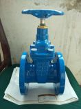 Resilient Seated Gate Valve, DIN3352/Bs5163