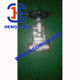 Ss316 Forged Gate Valve of 800lb Manual