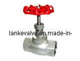 Female Threaded Globe Valve (J11)