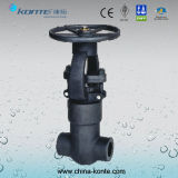 Forged Pressure Seal Gate Valve for Industry