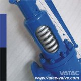 Spring Loaded Cast RF Flanged Full Nozzle Safety Valve
