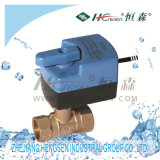 Dqf- A2 Brass Motorized Ball Valve with Actuator/Motorized Ball Valve/Electric Ball Valve