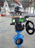 Cast Iron Manual Operated Butterfly Valve