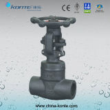Forged Socket Welding Gate Valve with A105
