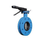 U Type Butterfly Valve with Cast Iron Handlever