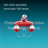 304 Stainless Steel Fire Hydrant Booster Valve