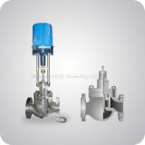 Electric Caged Guided Control Valve