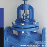 Flanged Ends Ductile Iron Globe Valve