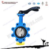 API Standard Double Stem Lug API 4 Inch Butterfly Valve