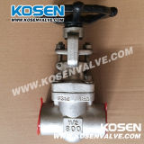 Forged Bolted Bonnet Stainless Steel Gate Valves