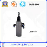 Limit Valve for Hydraulic System and Trucks (JHS02)