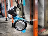 Wafer Type Butterfly Valve with API/DIN /GOST Standard