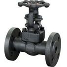 Forged Steel Gate Valve