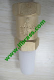 Brass Non-Returning Check Valve with ABS Filter