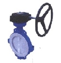 Concentric Soft Seated Butterfly Valve