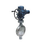 Special Stainless Steel Butterfly Valve