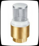 Brass Check Valve with Spring and Filter