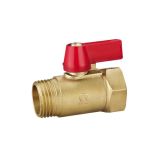 Brass Straight Male and Female Thread Valve (SS2240)