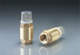 Brass Foot Check Valve with Removable Filter