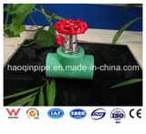 Shanghai Ruihe Enterprise Group Co., Ltd.