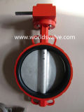Ductile Iron Wafer Type Butterfly Control Valve (D71X-10/16)