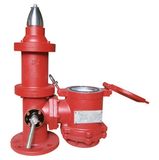 Pressure/Vacuum Valve with Gas Freeing Cover (CF200)