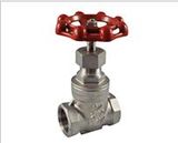 Globe Valve