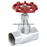 Stainlss Steel Globe Valve with Threaded End