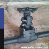 Butt Weld or Socket Weld Forged Gate Valve with Bw or Sw