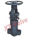 Good Quality Small Size Forged Steel Gate Valve (XT-Z61)
